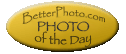 BetterPhoto.com Photo of the Day